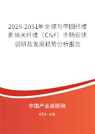 2025-2031年全球與中國(guó)纖維素納米纖維(CNF)市場(chǎng)現(xiàn)狀調(diào)研及發(fā)展趨勢(shì)分析報(bào)告 2025-2031年全球與中國(guó)纖維素納米纖維(CNF)市場(chǎng)現(xiàn)狀調(diào)研及發(fā)展趨勢(shì)分析報(bào)告