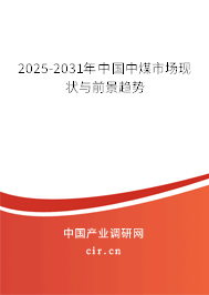 2025-2031年中國中煤市場現(xiàn)狀與前景趨勢 2025-2031年中國中煤市場現(xiàn)狀與前景趨勢