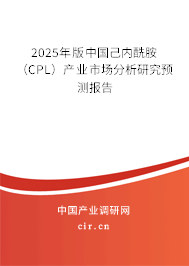 2025年版中國己內(nèi)酰胺(CPL)產(chǎn)業(yè)市場分析研究預(yù)測報(bào)告 2025年版中國己內(nèi)酰胺(CPL)產(chǎn)業(yè)市場分析研究預(yù)測報(bào)告