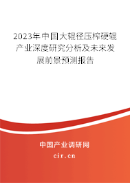 2023年中國大輥徑壓榨硬輥產(chǎn)業(yè)深度研究分析及未來發(fā)展前景預(yù)測報告