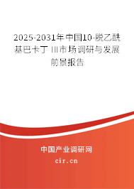 2025-2031年中國(guó)10-脫乙?；涂ǘ?III市場(chǎng)調(diào)研與發(fā)展前景報(bào)告