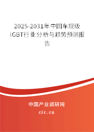 2025-2031年中國車規(guī)級IGBT行業(yè)分析與趨勢預(yù)測報告 2025-2031年中國車規(guī)級IGBT行業(yè)分析與趨勢預(yù)測報告