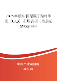 2025年版中國醋酸丁酸纖維素(CAB)市場調(diào)研與發(fā)展前景預(yù)測報告 2025年版中國醋酸丁酸纖維素(CAB)市場調(diào)研與發(fā)展前景預(yù)測報告