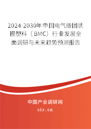 2024-2030年中國電氣級團狀模塑料(BMC)行業(yè)發(fā)展全面調(diào)研與未來趨勢預測報告 2024-2030年中國電氣級團狀模塑料(BMC)行業(yè)發(fā)展全面調(diào)研與未來趨勢預測報告