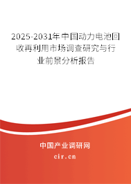 2025-2031年中國動(dòng)力電池回收再利用市場調(diào)查研究與行業(yè)前景分析報(bào)告 2025-2031年中國動(dòng)力電池回收再利用市場調(diào)查研究與行業(yè)前景分析報(bào)告