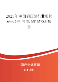 2025年中國鋼壓延行業(yè)現(xiàn)狀研究分析與市場前景預(yù)測報(bào)告