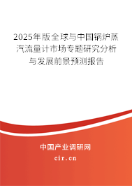 2025年版全球與中國鍋爐蒸汽流量計市場專題研究分析與發(fā)展前景預測報告
