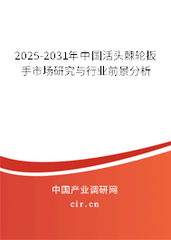 2025-2031年中國(guó)活頭棘輪扳手市場(chǎng)研究與行業(yè)前景分析