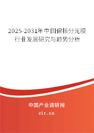 2025-2031年中國(guó)偏振分光膜行業(yè)發(fā)展研究與趨勢(shì)分析 2025-2031年中國(guó)偏振分光膜行業(yè)發(fā)展研究與趨勢(shì)分析