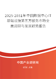 2025-2031年中國數(shù)據(jù)中心IT基礎設施第三方服務市場全面調研與發(fā)展趨勢報告