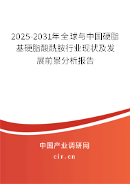 2025-2031年全球與中國(guó)硬脂基硬脂酸酰胺行業(yè)現(xiàn)狀及發(fā)展前景分析報(bào)告 2025-2031年全球與中國(guó)硬脂基硬脂酸酰胺行業(yè)現(xiàn)狀及發(fā)展前景分析報(bào)告