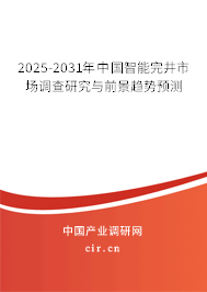 2025-2031年中國(guó)智能完井市場(chǎng)調(diào)查研究與前景趨勢(shì)預(yù)測(cè)