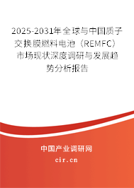 2025-2031年全球與中國質(zhì)子交換膜燃料電池（REMFC）市場現(xiàn)狀深度調(diào)研與發(fā)展趨勢分析報(bào)告