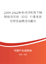 2009-2012年新經(jīng)濟(jì)形勢下地理信息系統(tǒng)（GIS）行業(yè)發(fā)展前景及戰(zhàn)略咨詢報(bào)告
