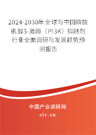 2024-2030年全球與中國磷酸肌醇3-激酶（PI3K）抑制劑行業(yè)全面調研與發(fā)展趨勢預測報告