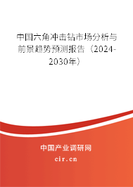 中國六角沖擊鉆市場分析與前景趨勢預(yù)測報告（2024-2030年）
