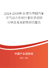 2024-2030年全球與中國汽車空氣動力系統(tǒng)行業(yè)現(xiàn)狀調研分析及發(fā)展趨勢研究報告