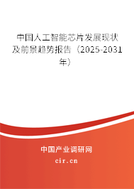 中國人工智能芯片發(fā)展現(xiàn)狀及前景趨勢報告(2025-2031年) 中國人工智能芯片發(fā)展現(xiàn)狀及前景趨勢報告(2025-2031年)