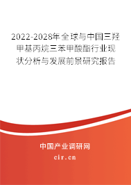 2022-2028年全球與中國三羥甲基丙烷三苯甲酸酯行業(yè)現(xiàn)狀分析與發(fā)展前景研究報告