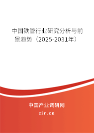 中國鐵管行業(yè)研究分析與前景趨勢(2025-2031年) 中國鐵管行業(yè)研究分析與前景趨勢(2025-2031年)