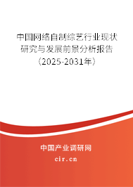 中國網(wǎng)絡自制綜藝行業(yè)現(xiàn)狀研究與發(fā)展前景分析報告（2025-2031年）