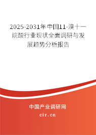 2025-2031年中國(guó)11-溴十一烷酸行業(yè)現(xiàn)狀全面調(diào)研與發(fā)展趨勢(shì)分析報(bào)告 2025-2031年中國(guó)11-溴十一烷酸行業(yè)現(xiàn)狀全面調(diào)研與發(fā)展趨勢(shì)分析報(bào)告