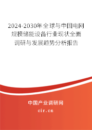 2024-2030年全球與中國(guó)電網(wǎng)規(guī)模儲(chǔ)能設(shè)備行業(yè)現(xiàn)狀全面調(diào)研與發(fā)展趨勢(shì)分析報(bào)告