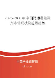 2025-2031年中國(guó)鈣通道阻滯劑市場(chǎng)現(xiàn)狀及前景趨勢(shì)