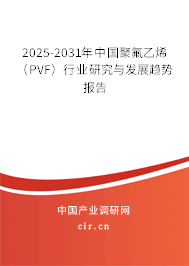 2025-2031年中國聚氟乙烯(PVF)行業(yè)研究與發(fā)展趨勢(shì)報(bào)告 2025-2031年中國聚氟乙烯(PVF)行業(yè)研究與發(fā)展趨勢(shì)報(bào)告