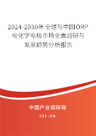 2024-2030年全球與中國ORP電化學(xué)電極市場全面調(diào)研與發(fā)展趨勢分析報(bào)告 2024-2030年全球與中國ORP電化學(xué)電極市場全面調(diào)研與發(fā)展趨勢分析報(bào)告