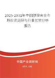 2025-2031年中國鐵鎳合金市場現(xiàn)狀調(diào)研與行業(yè)前景分析報告