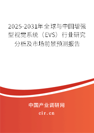 2025-2031年全球與中國增強型視覺系統(tǒng)（EVS）行業(yè)研究分析及市場前景預(yù)測報告