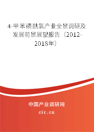 4-甲苯磺酰氯產業(yè)全景調研及發(fā)展前景展望報告(2012-2018年) 4-甲苯磺酰氯產業(yè)全景調研及發(fā)展前景展望報告(2012-2018年)