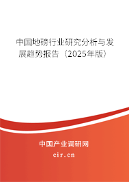 中國(guó)地磅行業(yè)研究分析與發(fā)展趨勢(shì)報(bào)告(2024年版) 中國(guó)地磅行業(yè)研究分析與發(fā)展趨勢(shì)報(bào)告(2024年版)