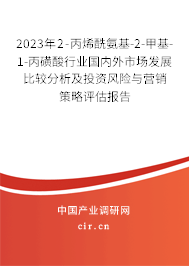 2023年2-丙烯酰氨基-2-甲基-1-丙磺酸行業(yè)國內(nèi)外市場發(fā)展比較分析及投資風(fēng)險與營銷策略評估報告