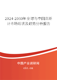2024-2030年全球與中國高斯計市場現(xiàn)狀及趨勢分析報告 2024-2030年全球與中國高斯計市場現(xiàn)狀及趨勢分析報告