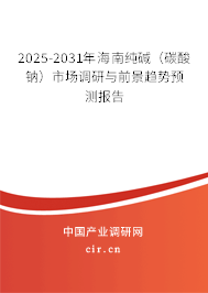 2025-2031年海南純堿（碳酸鈉）市場調研與前景趨勢預測報告