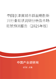 中國(guó)京津冀城市群戰(zhàn)略性新興行業(yè)現(xiàn)狀調(diào)研分析及市場(chǎng)前景預(yù)測(cè)報(bào)告(2025年版) 中國(guó)京津冀城市群戰(zhàn)略性新興行業(yè)現(xiàn)狀調(diào)研分析及市場(chǎng)前景預(yù)測(cè)報(bào)告(2025年版)