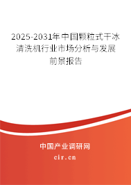 2025-2031年中國(guó)顆粒式干冰清洗機(jī)行業(yè)市場(chǎng)分析與發(fā)展前景報(bào)告