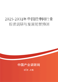 2025-2031年中國拉伸網(wǎng)行業(yè)現(xiàn)狀調(diào)研與發(fā)展前景預(yù)測 2025-2031年中國拉伸網(wǎng)行業(yè)現(xiàn)狀調(diào)研與發(fā)展前景預(yù)測