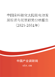 中國染料敏化太陽能電池發(fā)展現(xiàn)狀與前景趨勢分析報(bào)告（2025-2031年）