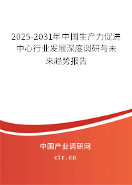 2025-2031年中國生產(chǎn)力促進(jìn)中心行業(yè)發(fā)展深度調(diào)研與未來趨勢報告