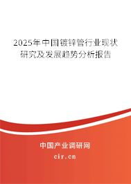 2025年中國鍍鋅管行業(yè)現(xiàn)狀研究及發(fā)展趨勢(shì)分析報(bào)告