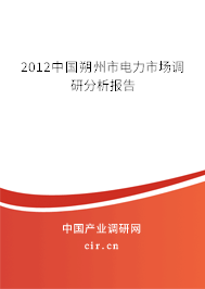 2012中國朔州市電力市場調(diào)研分析報告 2012中國朔州市電力市場調(diào)研分析報告