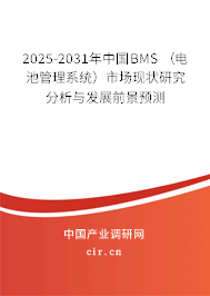 2025-2031年中國BMS (電池管理系統(tǒng))市場現(xiàn)狀研究分析與發(fā)展前景預(yù)測 2025-2031年中國BMS (電池管理系統(tǒng))市場現(xiàn)狀研究分析與發(fā)展前景預(yù)測