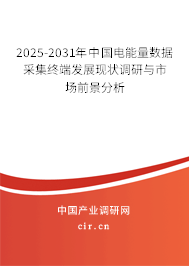2025-2031年中國電能量數(shù)據(jù)采集終端發(fā)展現(xiàn)狀調(diào)研與市場前景分析 2025-2031年中國電能量數(shù)據(jù)采集終端發(fā)展現(xiàn)狀調(diào)研與市場前景分析