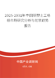2025-2031年中國鋼塑土工格柵市場研究分析與前景趨勢報告