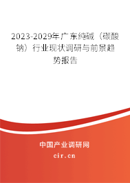 2023-2029年廣東純堿（碳酸鈉）行業(yè)現(xiàn)狀調(diào)研與前景趨勢報(bào)告
