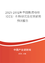 2025-2031年中國集成母排(CCS)市場研究及前景趨勢預測報告 2025-2031年中國集成母排(CCS)市場研究及前景趨勢預測報告
