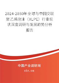2024-2030年全球與中國交聯(lián)聚乙烯泡沫（XLPE）行業(yè)現(xiàn)狀深度調(diào)研與發(fā)展趨勢分析報(bào)告